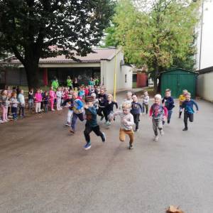 mali-soncek\2768_original